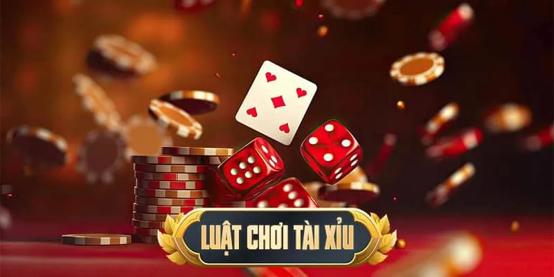 Dự đoán cửa có khả năng chiến thắng cao hơn và cược tiền